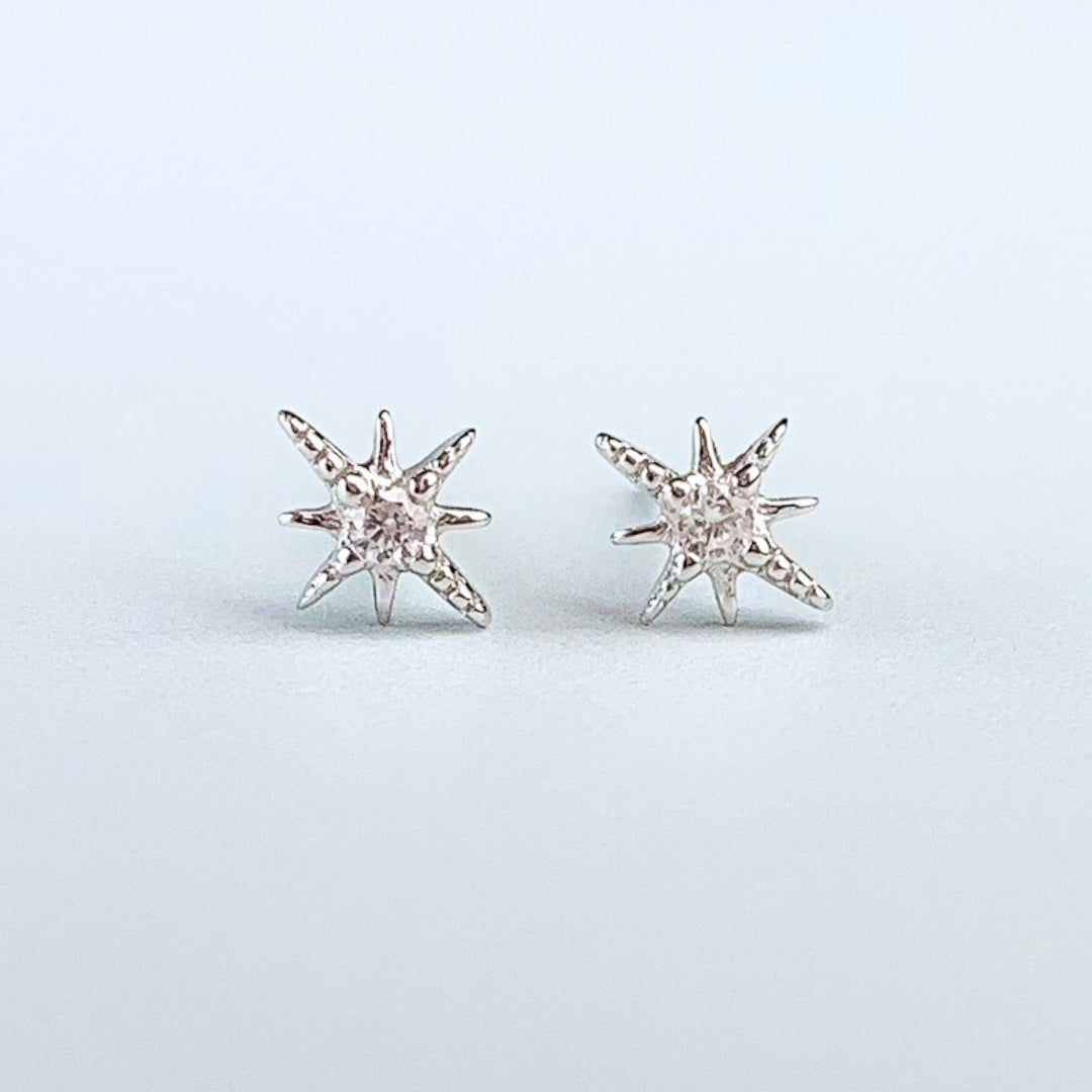 Crystal Detail Star Stud Earrings