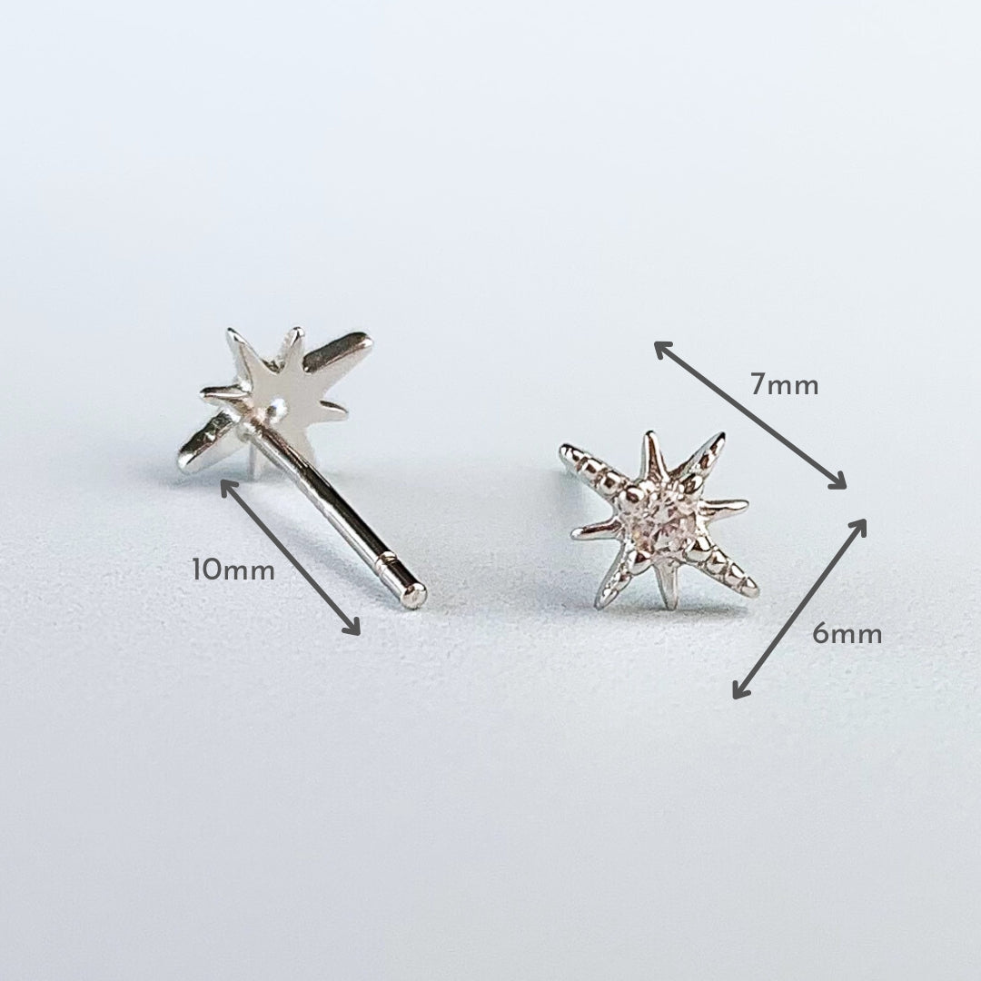 Crystal Detail Star Stud Earrings