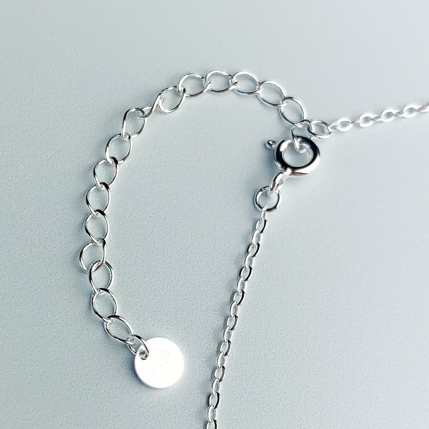 Dangle Disk Charm Anklet