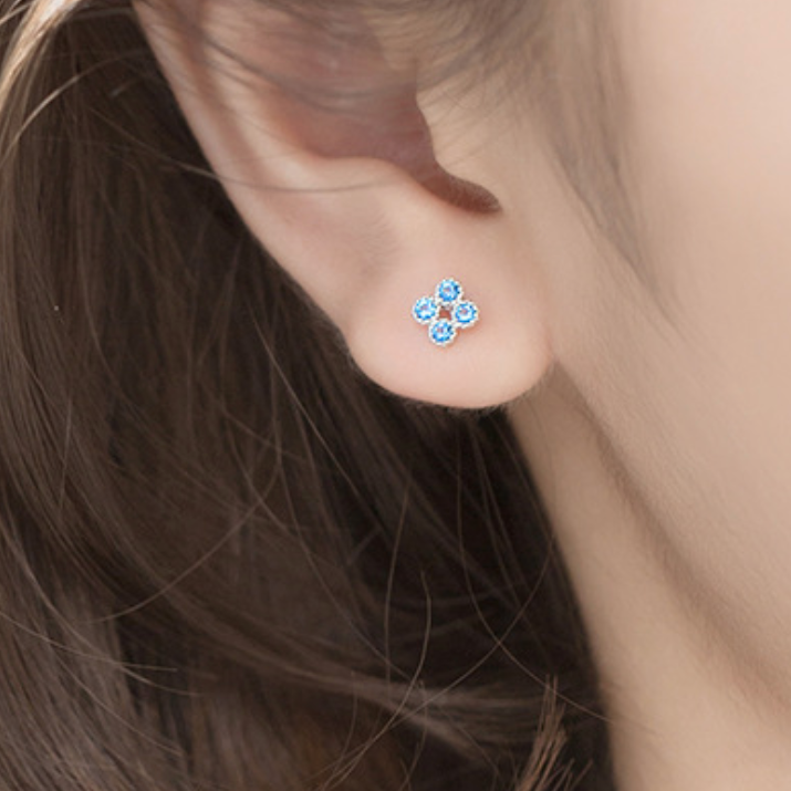 Blue Crystal Stud Earrings