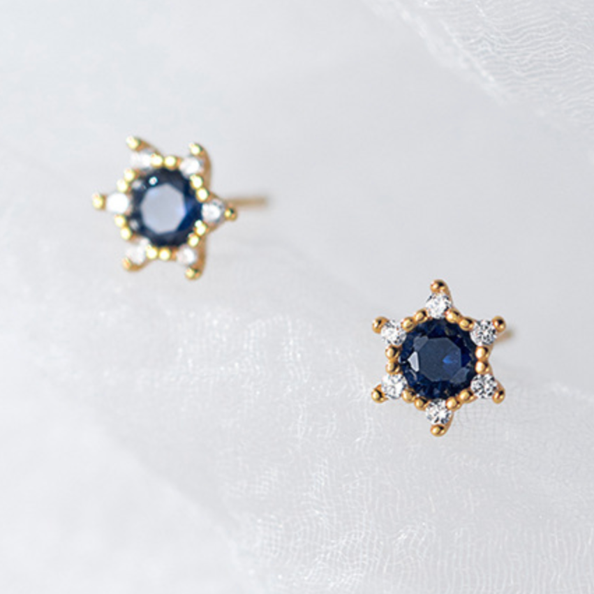 Blue Crystal Stud Earrings