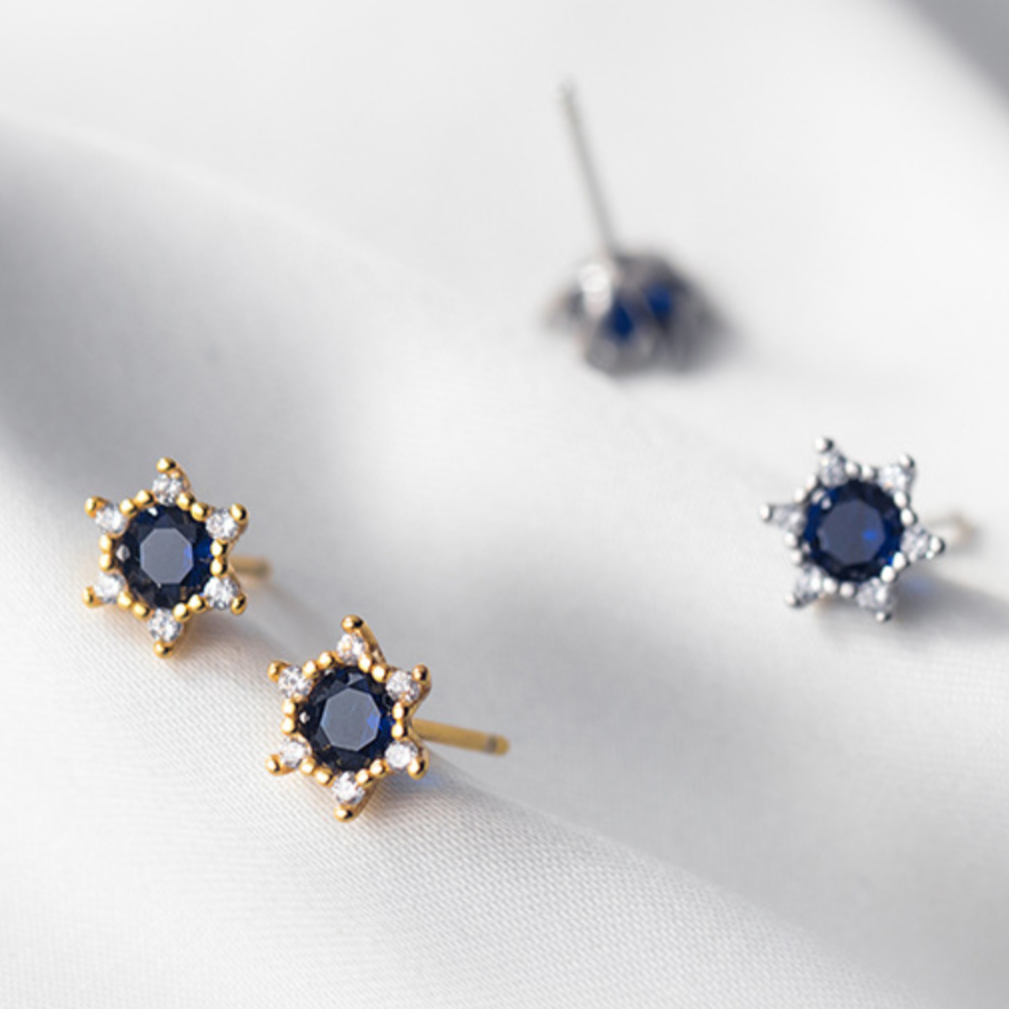 Blue Crystal Stud Earrings
