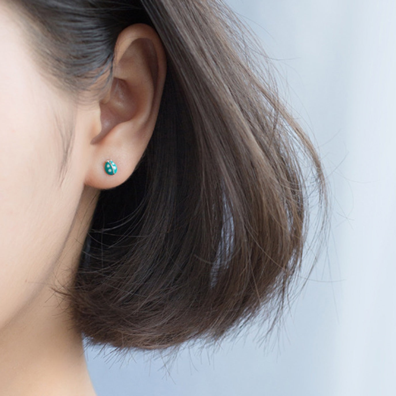 Blue Ladybug Stud Earrings