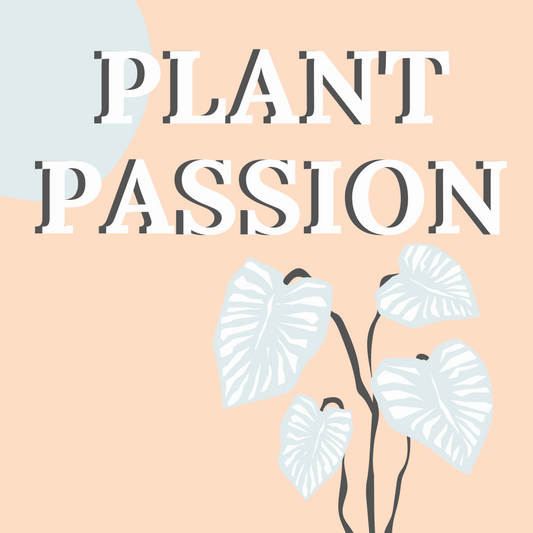 TREND EDIT: Plant Passion