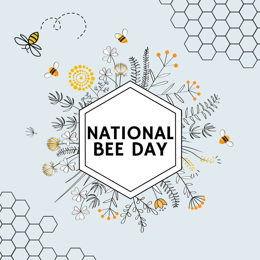 National Bee Day - 20th May