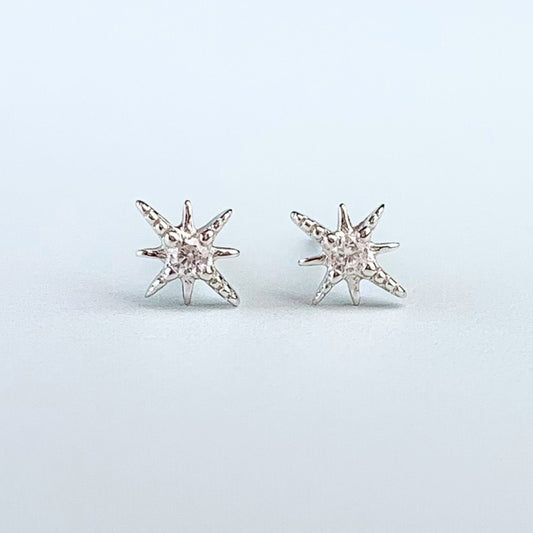 Crystal Detail Star Stud Earrings